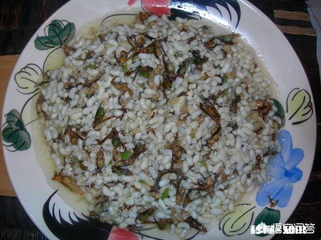 云南人喜欢吃虫子，具体有哪些虫子可以吃呢
