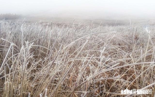 武功山的景色怎么样