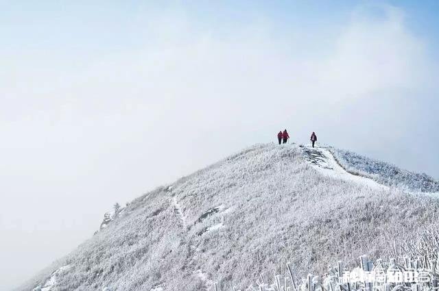 武功山的景色怎么样