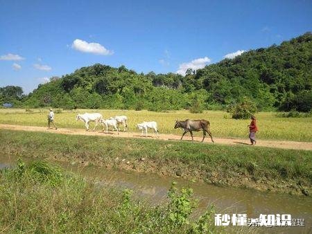 去柬埔寨旅游，哪里最好玩
