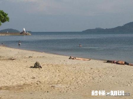 去柬埔寨旅游，哪里最好玩