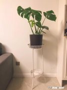 春节来了，你打算如何重新布置一下家