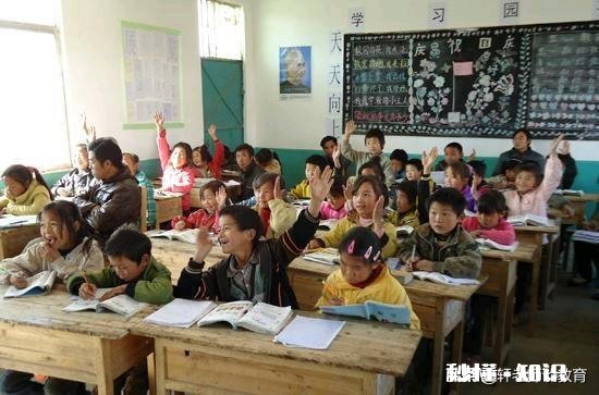 作为一个新班主任，对于五年级的学生怎样制定一个合理的班规怎么让大家去共同遵守呢