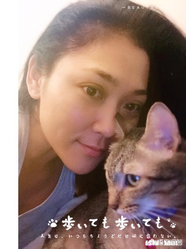 田园猫发情不想配可以洗澡吗,田园猫发情不想配怎么解决