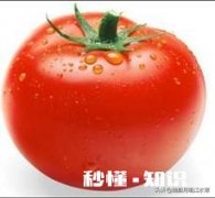 哪种水果补充维生素c