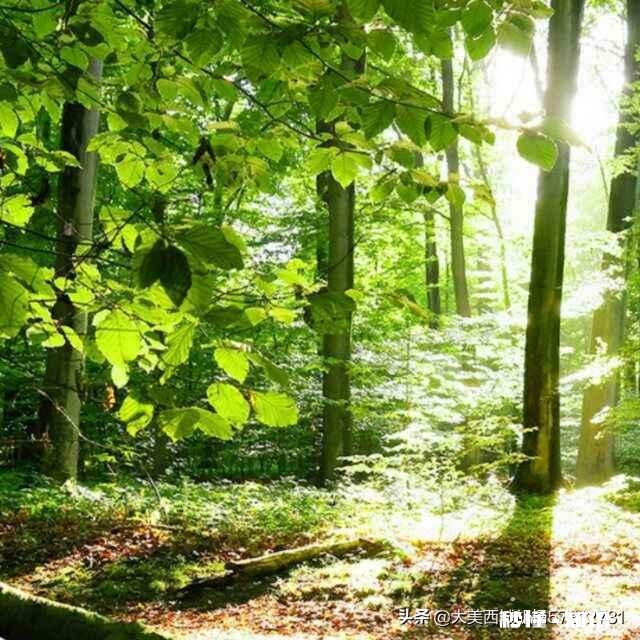 如果在征地拆迁中征收方没有相关合法手续,被征收人阻止强征强拆是否会构成违法犯罪