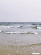 你给你母亲写过信吗