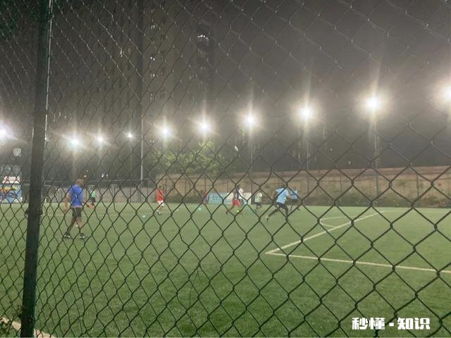 茶如隐逸，明月在肩是什么意思