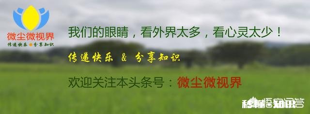 为什么好多农村老人春节前后死亡率特别高