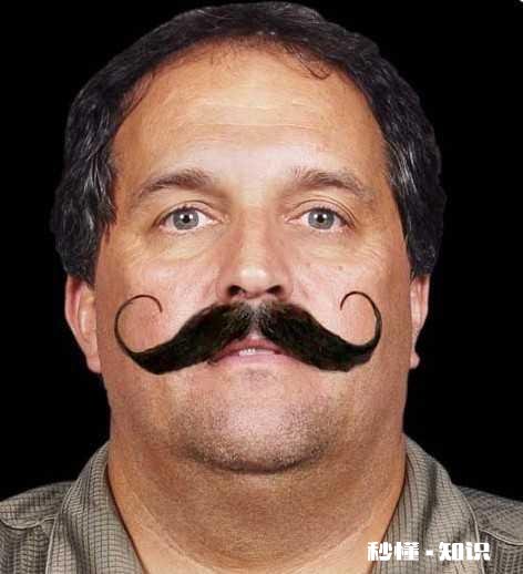 人类的胡子有什么用