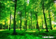 为什么说买房不买公寓一线城市的公寓有限购吗