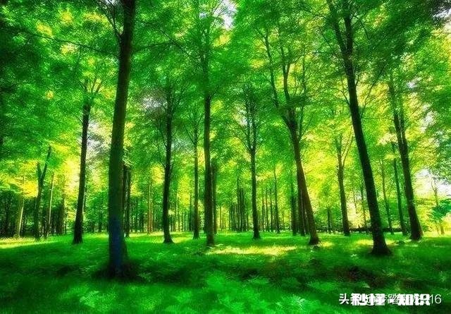 为什么说买房不买公寓一线城市的公寓有限购吗