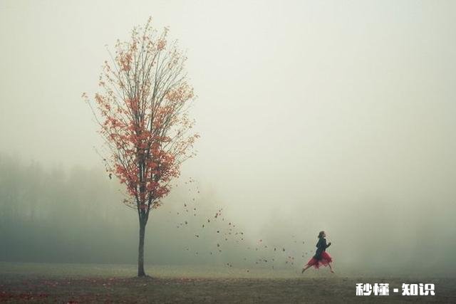 如果你长得不咋地，却喜欢上一个很帅的人，你是选择放弃，撞墙还是追呢，如果选择追，该咋追呢