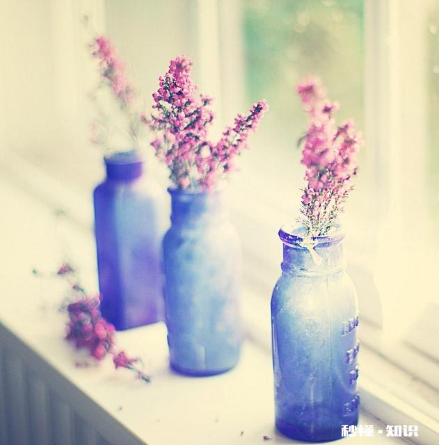 如果你长得不咋地，却喜欢上一个很帅的人，你是选择放弃，撞墙还是追呢，如果选择追，该咋追呢