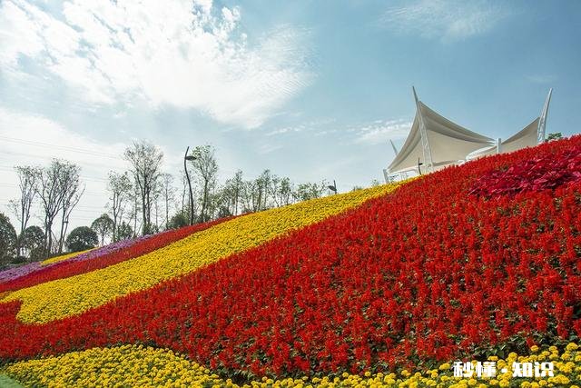 如果你长得不咋地，却喜欢上一个很帅的人，你是选择放弃，撞墙还是追呢，如果选择追，该咋追呢