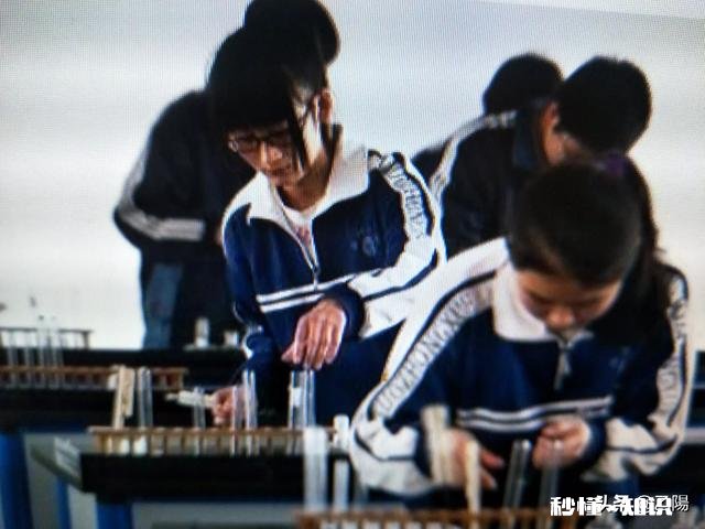 初中成绩一直不好，怎么办