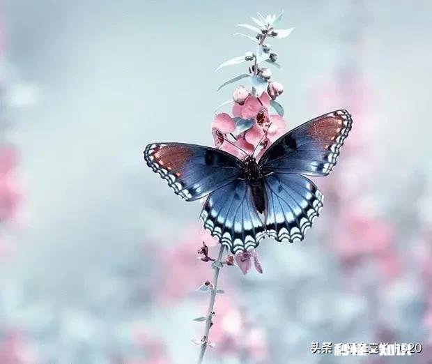 请教各位，工作岗位经常需要处理应急事件，因此经常神经紧张，可以怎么调节心态呢