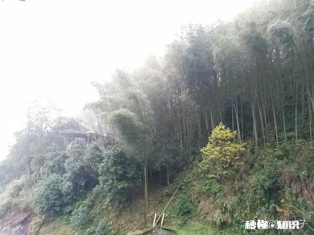 每一个瞬间连接起来成为我们的一生，注定了我们现在的生活，如果重新来过一遍，你的选择是否依然如此