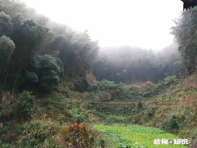 每一个瞬间连接起来成为我们的一生，注定了我们现在的生活，如果重新来过一遍，你的选择是否依然如此