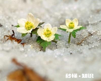 每一个瞬间连接起来成为我们的一生，注定了我们现在的生活，如果重新来过一遍，你的选择是否依然如此