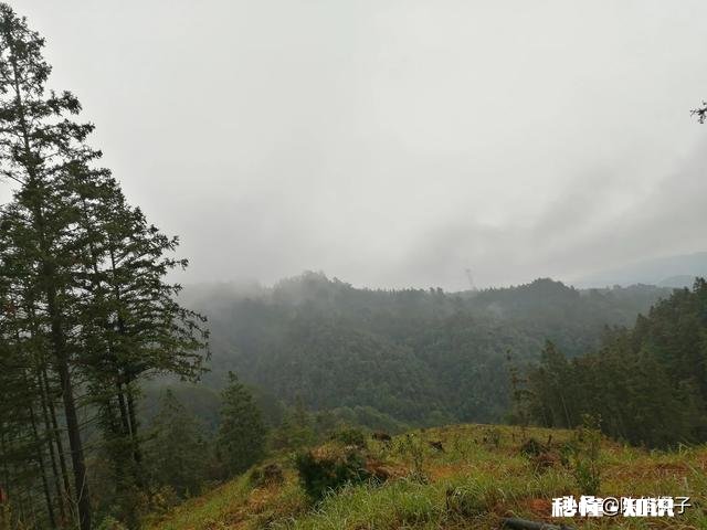 每一个瞬间连接起来成为我们的一生，注定了我们现在的生活，如果重新来过一遍，你的选择是否依然如此