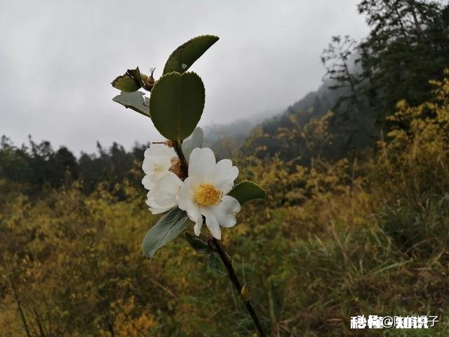 每一个瞬间连接起来成为我们的一生，注定了我们现在的生活，如果重新来过一遍，你的选择是否依然如此
