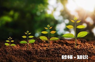 每一个瞬间连接起来成为我们的一生，注定了我们现在的生活，如果重新来过一遍，你的选择是否依然如此