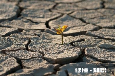 每一个瞬间连接起来成为我们的一生，注定了我们现在的生活，如果重新来过一遍，你的选择是否依然如此