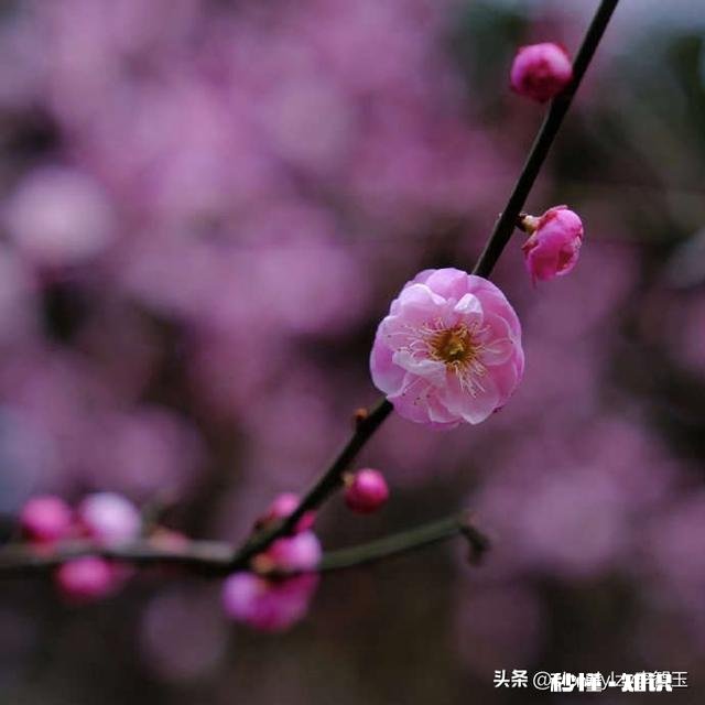 每一个瞬间连接起来成为我们的一生，注定了我们现在的生活，如果重新来过一遍，你的选择是否依然如此