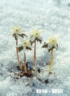 每一个瞬间连接起来成为我们的一生，注定了我们现在的生活，如果重新来过一遍，你的选择是否依然如此