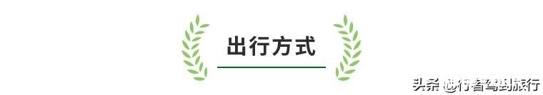 春节你会去旅行吗