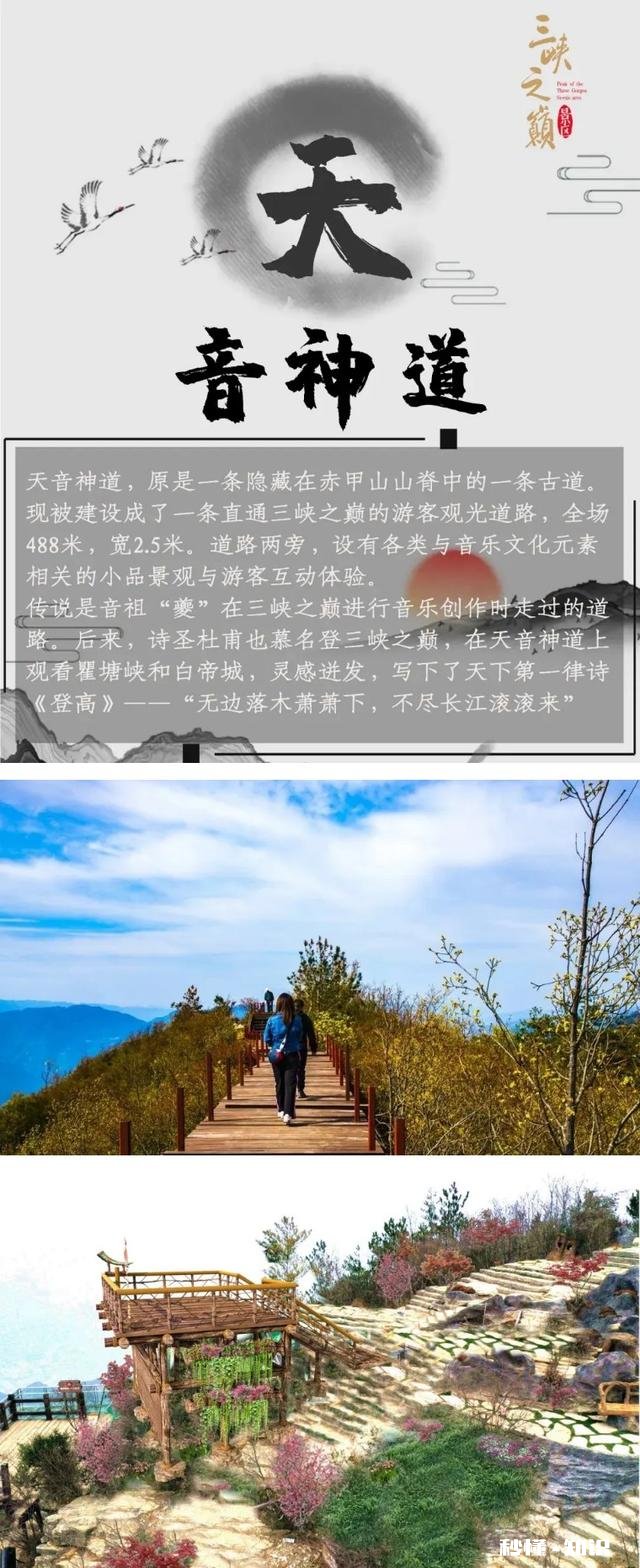 春节你会去旅行吗