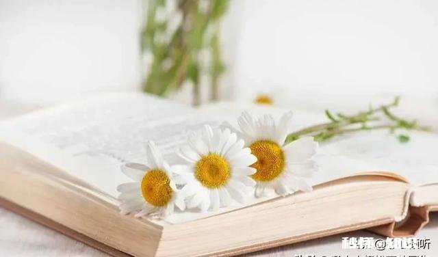 写高中作文时，观点和角度一定要和参考答案一致吗，自己的想法和思考角度不同于参考答案算是离题吗