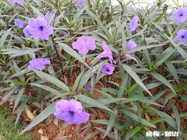 女生，为什么讨厌老实的男生呢