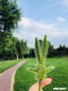 和女朋友要分手但还没分，她嫌我烦就断了联系，我该怎么做