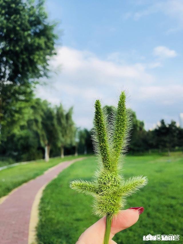 和女朋友要分手但还没分，她嫌我烦就断了联系，我该怎么做