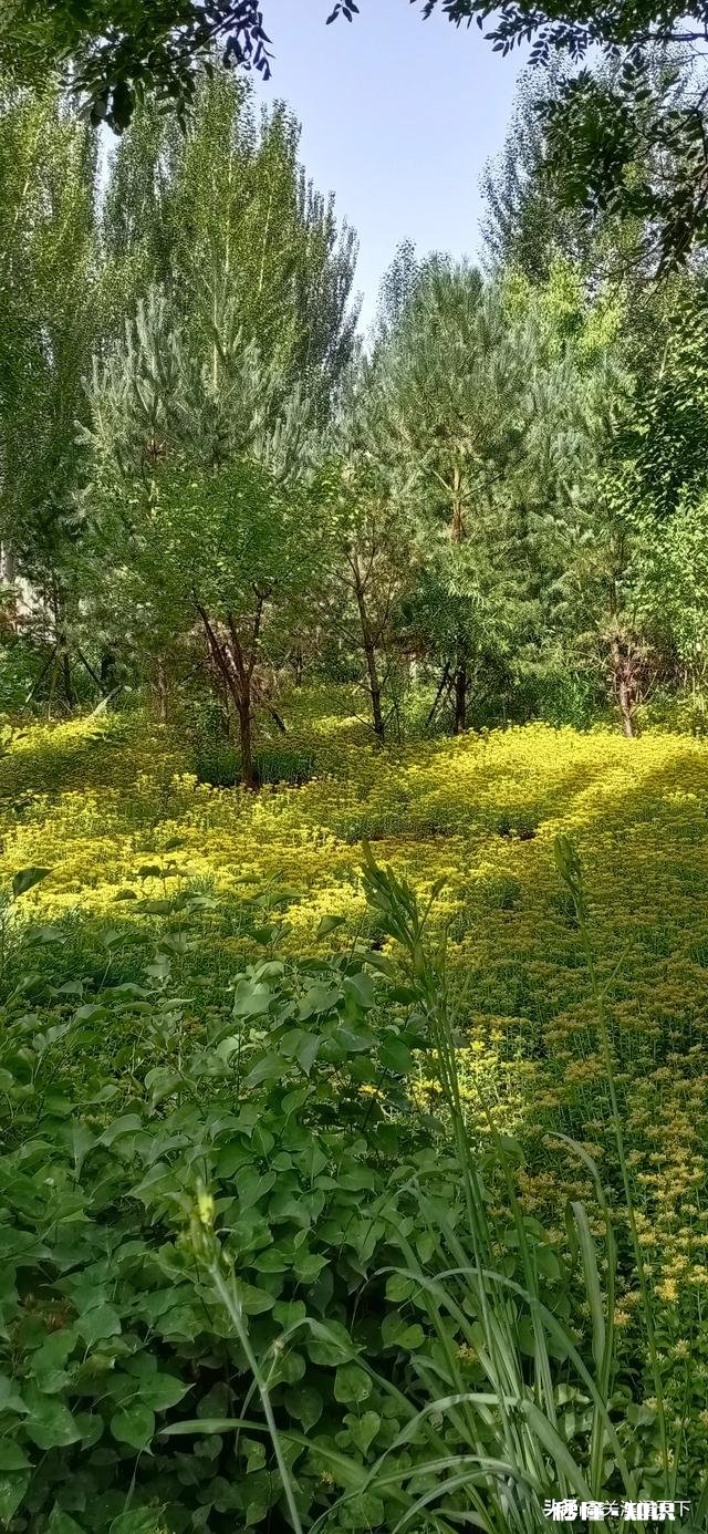 身边的人真的在乎你吗