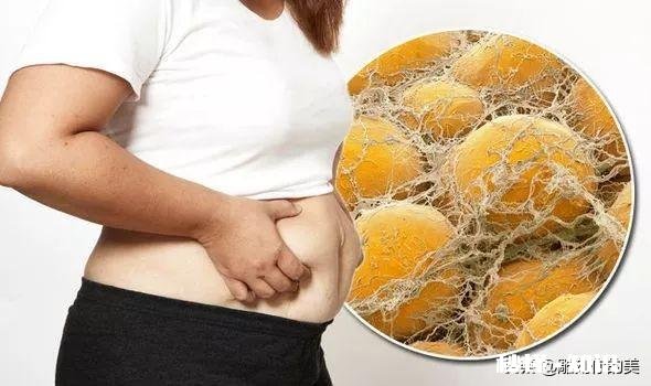 那些所谓的帮你加速燃脂提高代谢的运动补给真的有用么