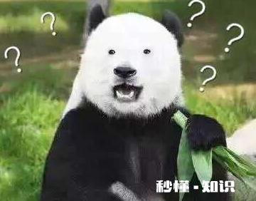 四川熊猫吃不吃辣椒