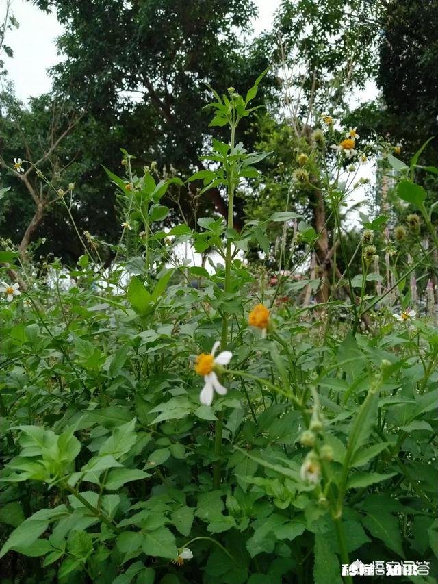 女人找不是男友的男人要东西好吗