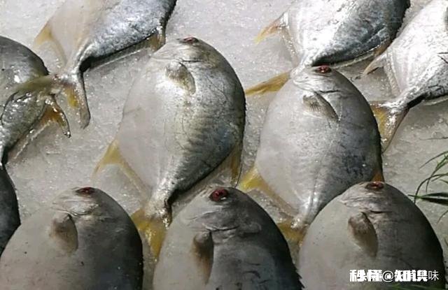 怎么做鲳鱼