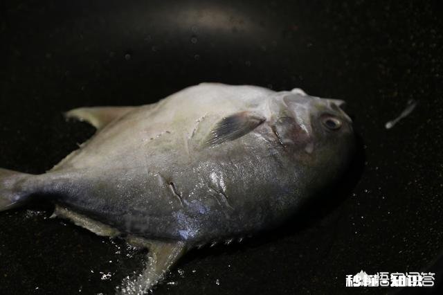 怎么做鲳鱼