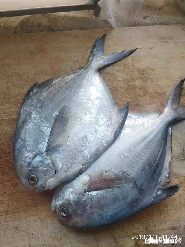 怎么做鲳鱼