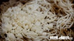 吃面条加蒜瓣，为什么?你会加吗