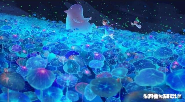 女生学数字媒体设计艺术专业怎么样