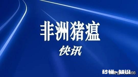 2021年首例非洲猪瘟已确诊,214头仔猪死亡,春节还能吃到便宜肉吗