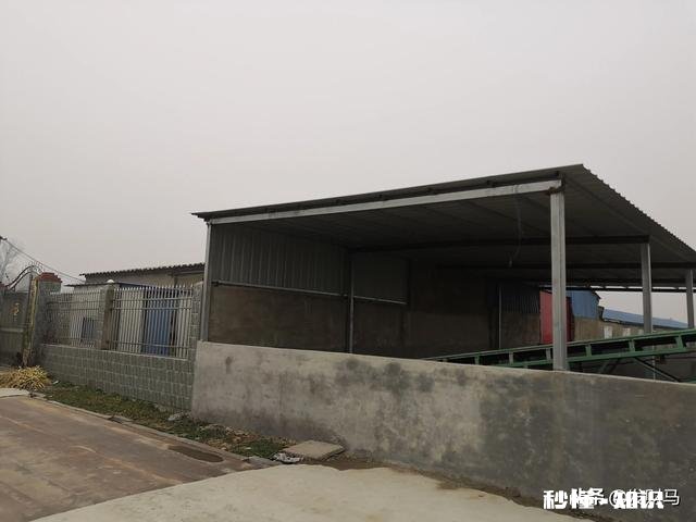 2021年首例非洲猪瘟已确诊,214头仔猪死亡,春节还能吃到便宜肉吗