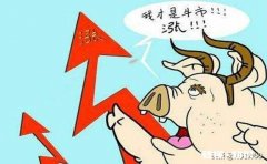 最新的生猪价格上涨是什么原因，未来行情会怎么样