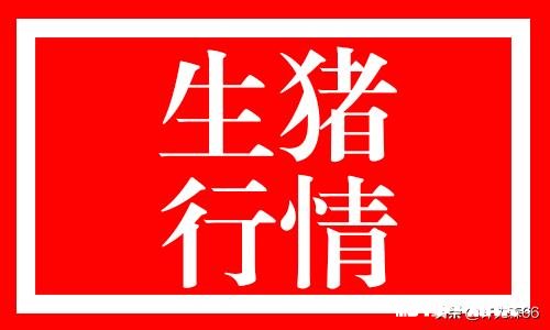 最新的生猪价格上涨是什么原因,未来行情会怎么样