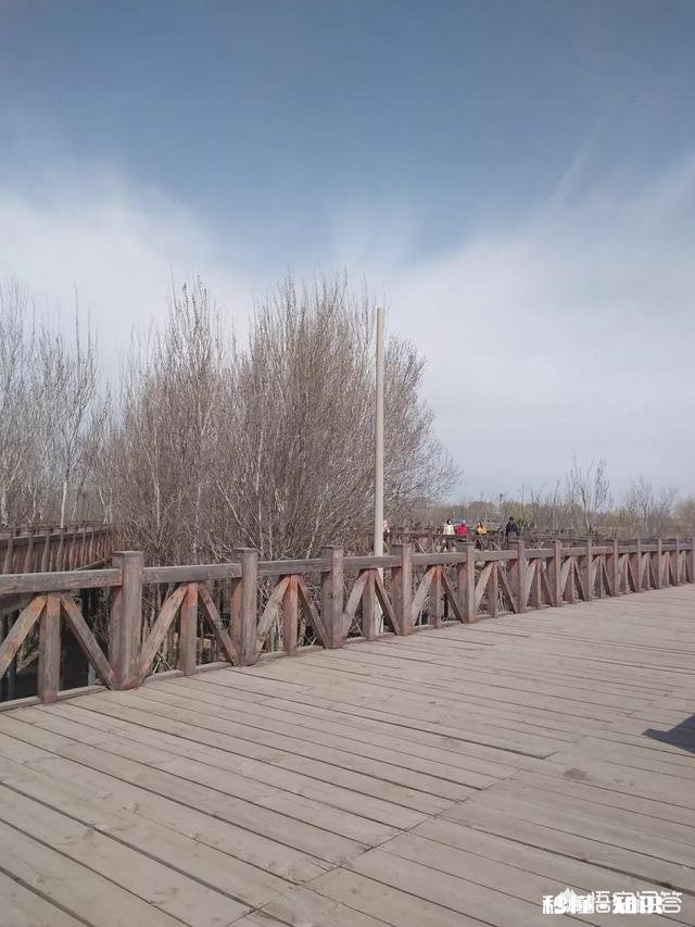 用一个词形容你为什么喜欢周末